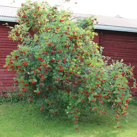Idyllinen Kaksio Kankaanpaa