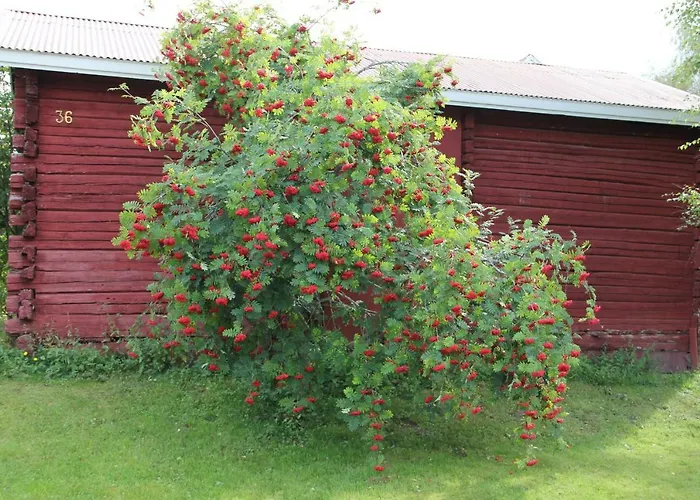 Idyllinen Kaksio Kankaanpää